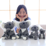 Koala Bear Doll