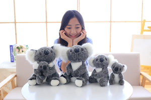 Koala Bear Doll