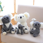 Koala Bear Doll