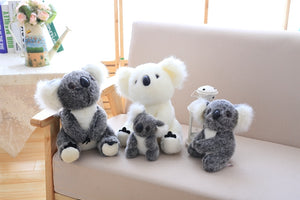 Koala Bear Doll