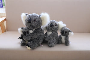 Koala Bear Doll