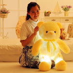 Light Up Teddy Bear