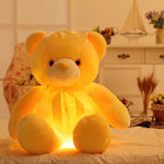 Light Up Teddy Bear