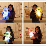 Light Up Teddy Bear