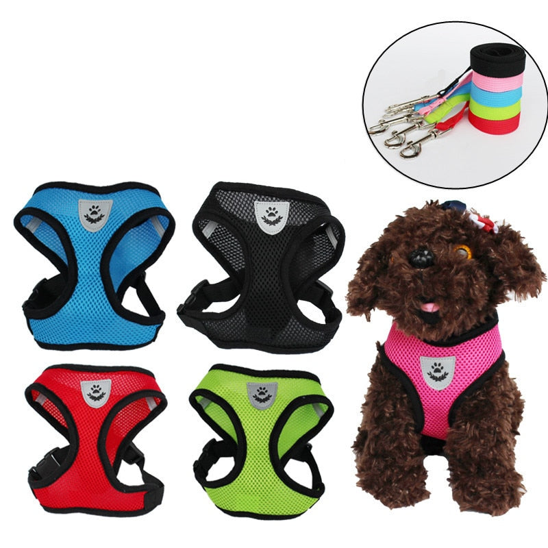 Cat Dog Adjustable Harness and Leash Set
