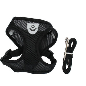 Cat Dog Adjustable Harness and Leash Set