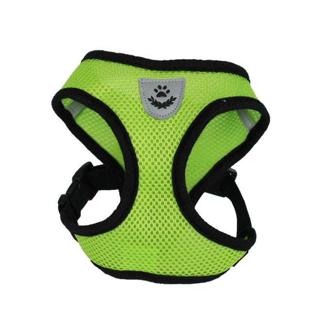 Cat Dog Adjustable Harness and Leash Set