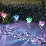 LED Garden Lights